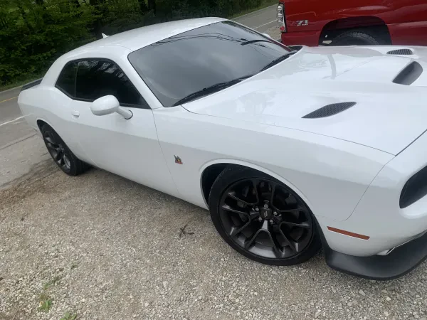 Sues Mountain Customs - photo 4