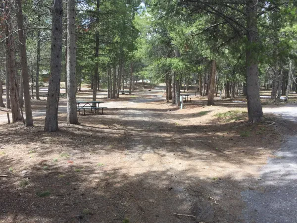 Colter Bay RV Park - photo 3