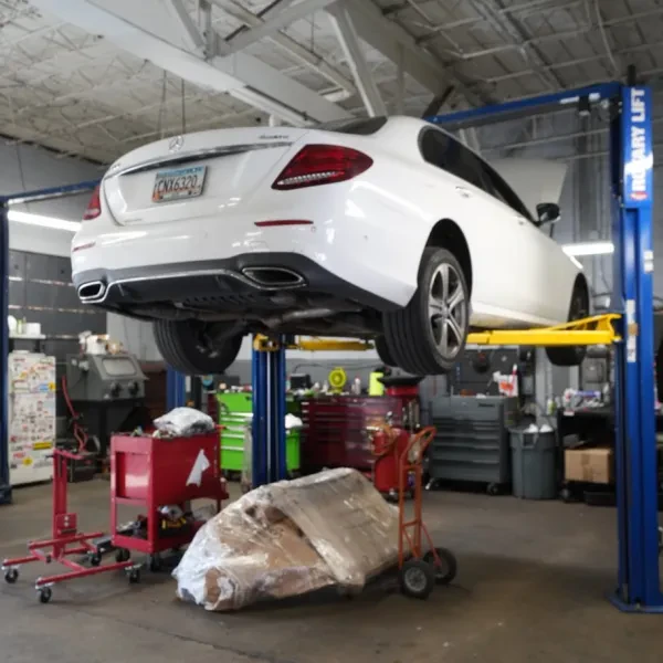 Buckhead Imports - photo 3