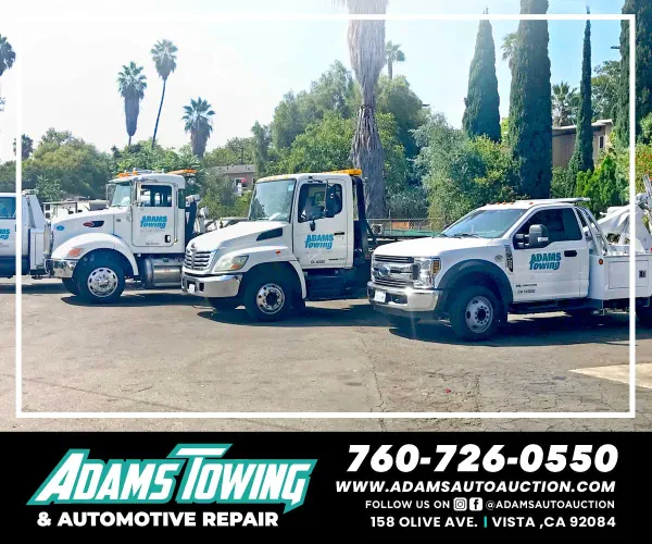 Adams Auto Auction - photo 4