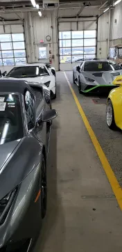Manheim Auto Action