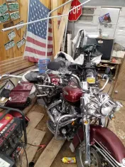 BiG DoG's BoNe YaRd