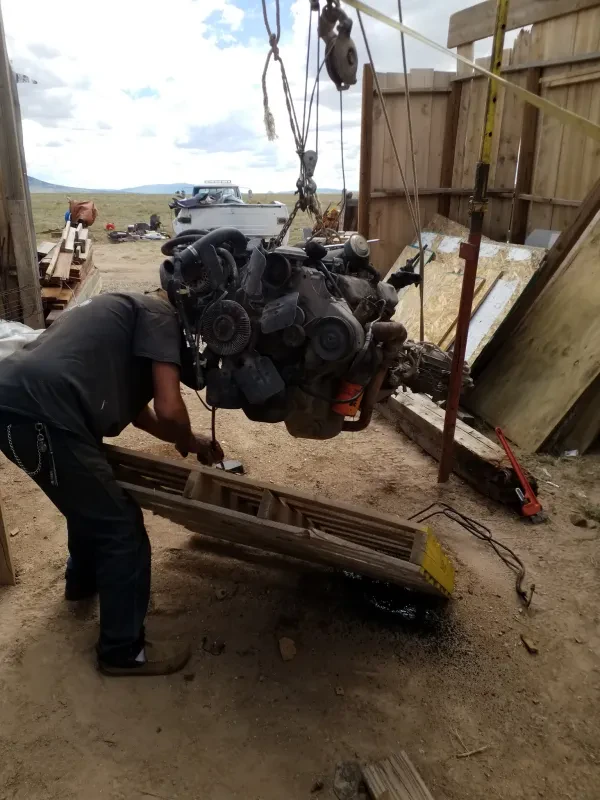 BiG DoG's BoNe YaRd - photo 2