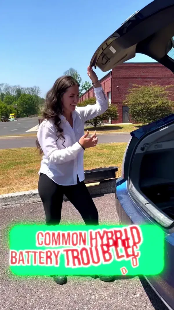 Hybrid Battery 911 LLC - photo 2