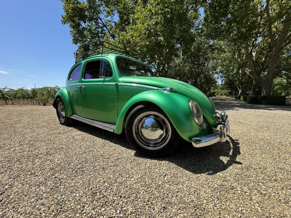Vassar Automotive - photo 3