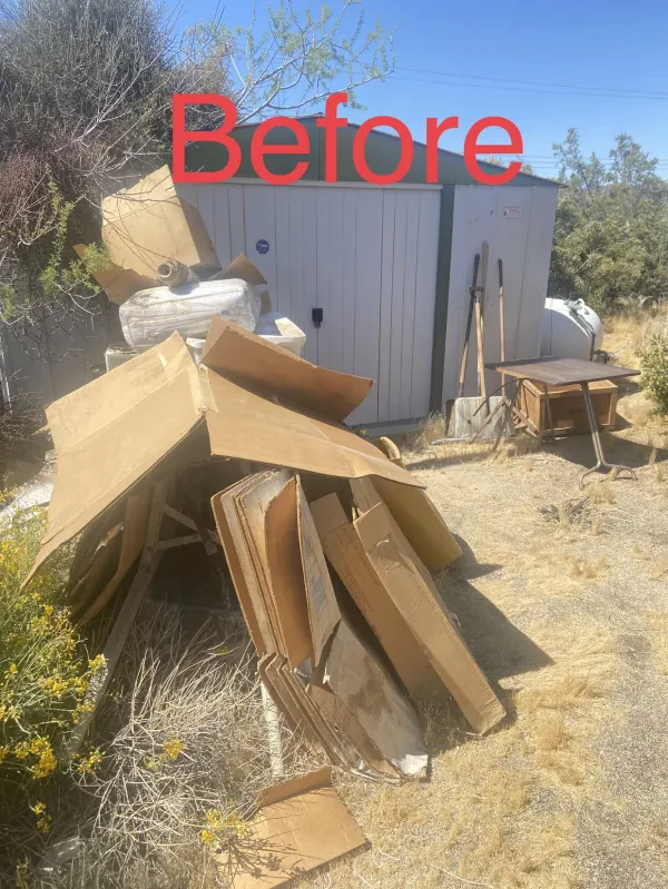 The Junk Express Junk Removal Service - photo 3