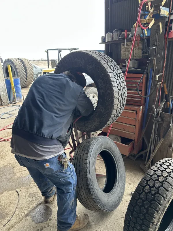 NAPA Auto Parts - Witt Boys Inc - photo 4