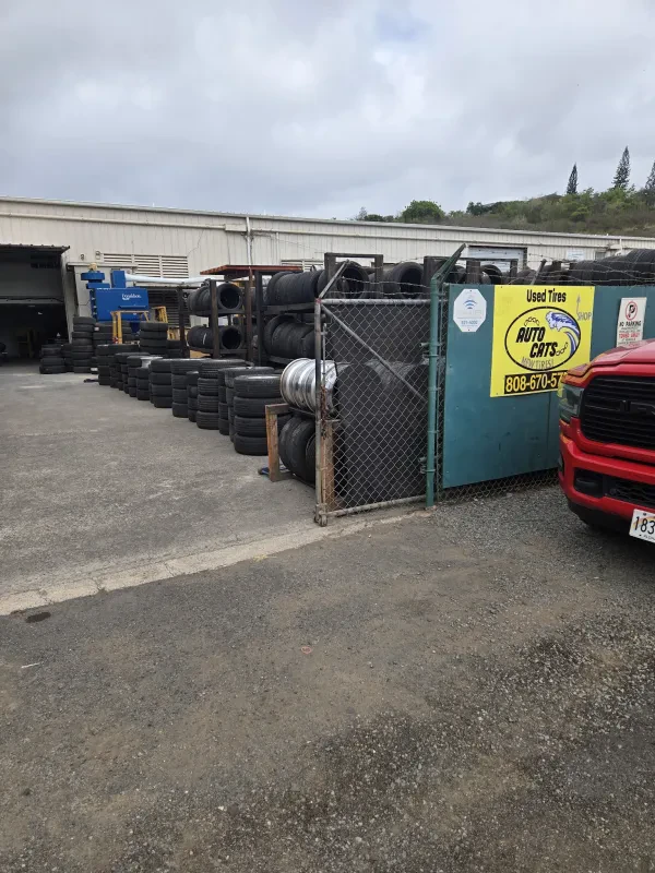 Auto Cats Hawaii - photo 3