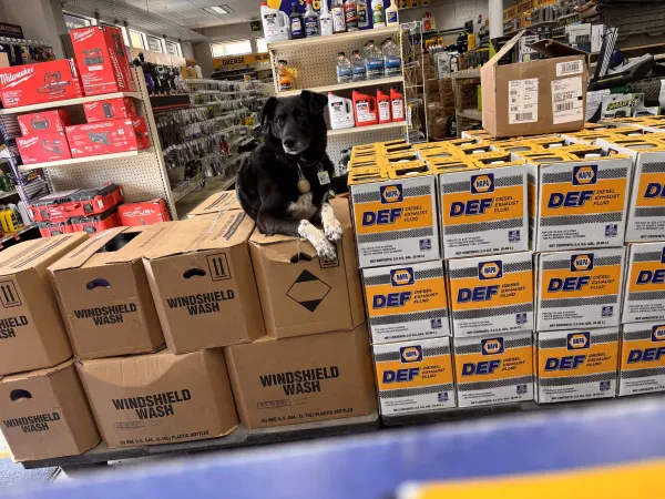 NAPA Auto Parts - Frisco Auto and Truck Parts - photo 3