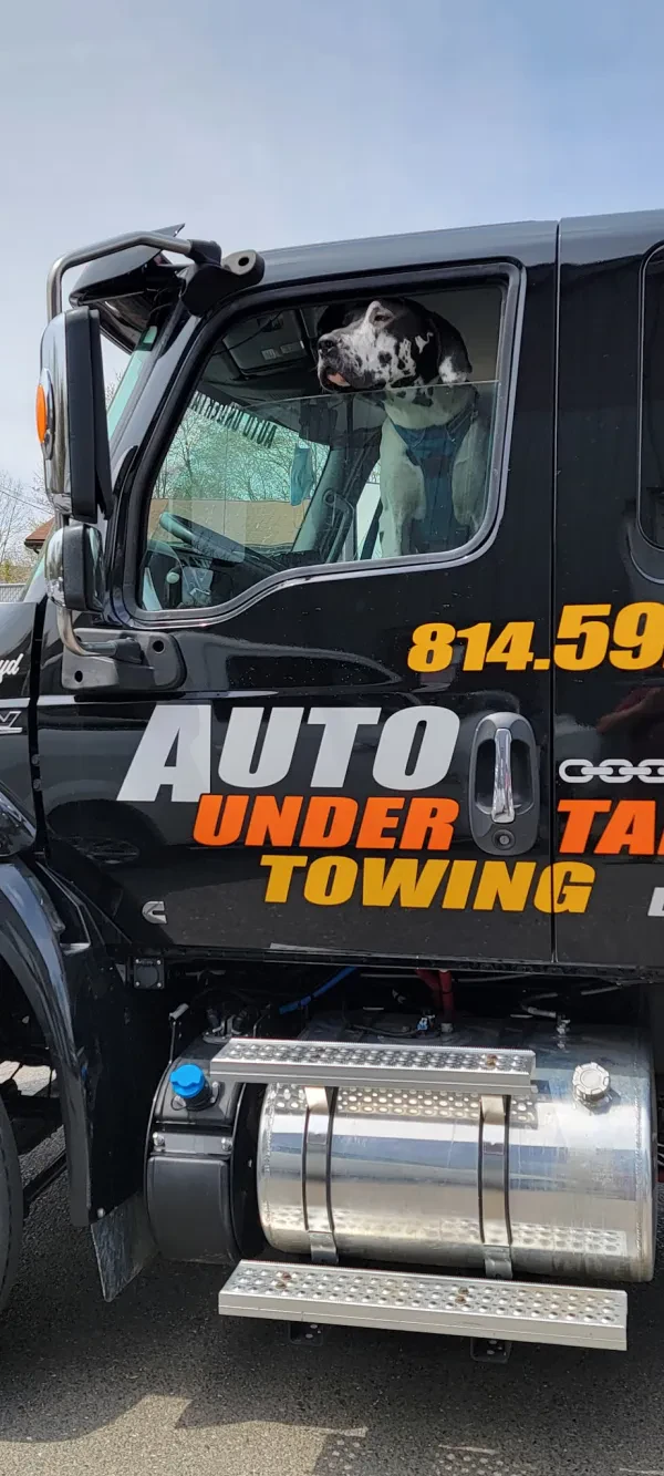 Auto Undertaker Towing & Repair - photo 3