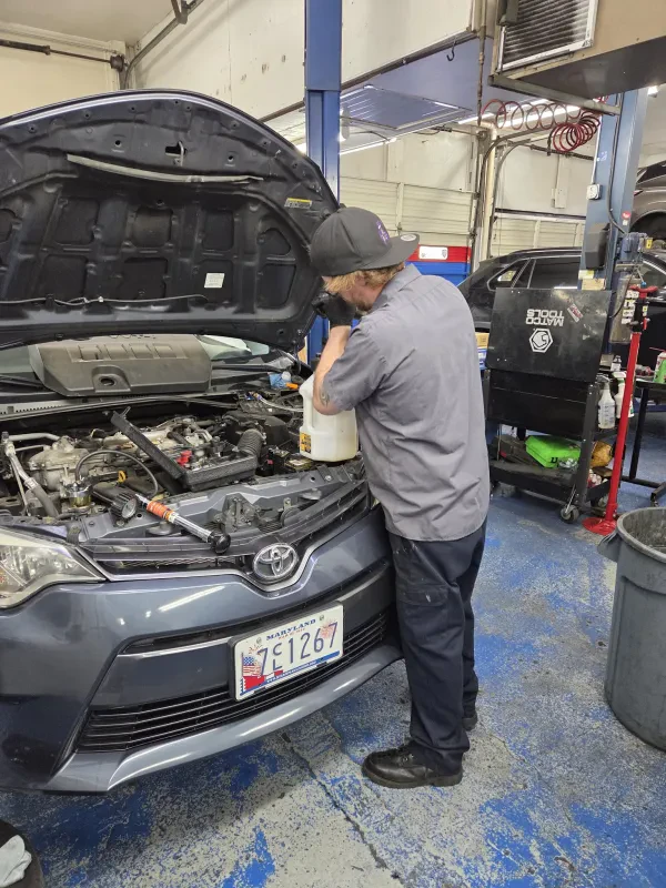 Thoroughbred Auto Care - photo 4