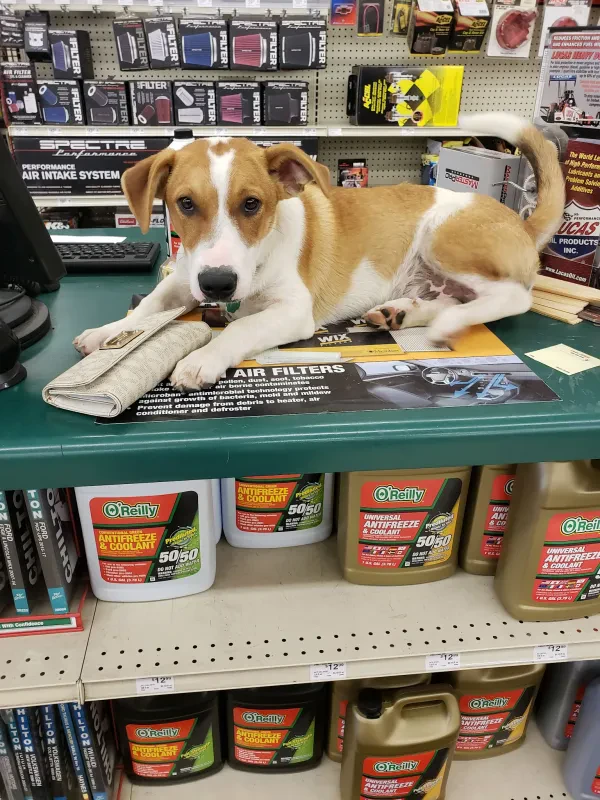 O'Reilly Auto Parts - photo 2