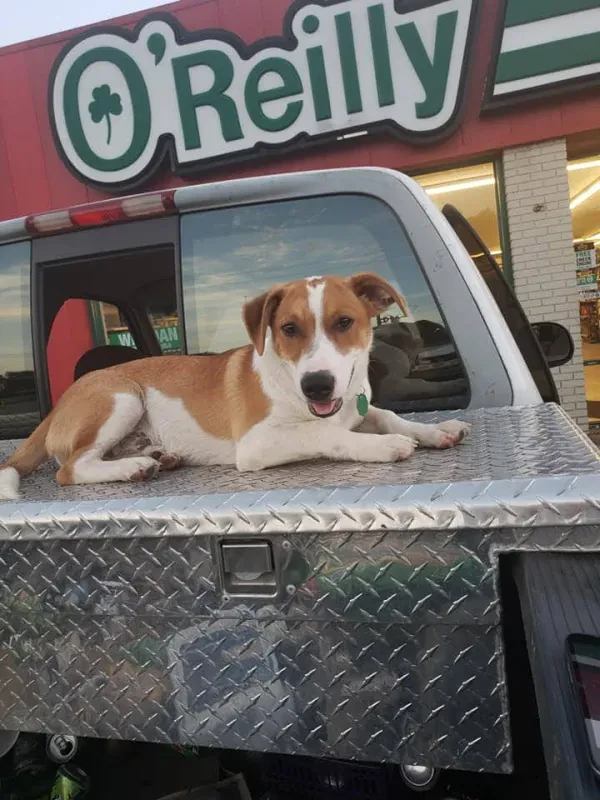 O'Reilly Auto Parts - photo 3