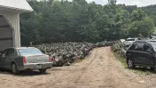 Harold's Auto Parts