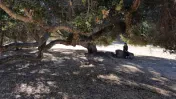 Robles del Rio Old Parking Lot