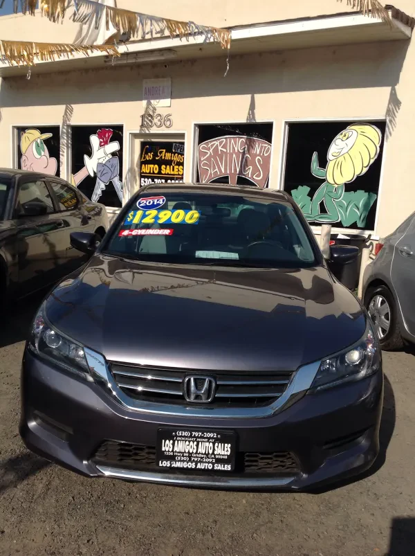 Los Amigos Auto Sales & Andreas Registration - photo 2