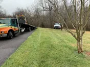 Running bear towing and collision