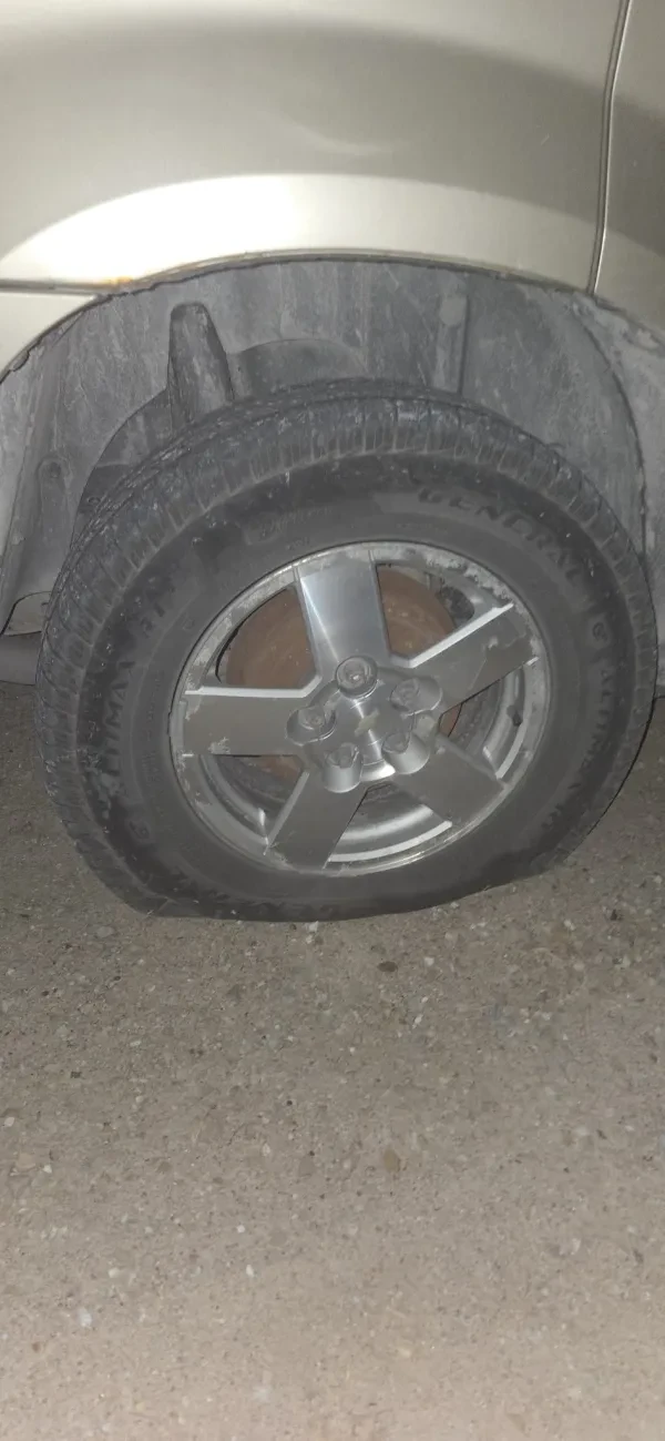Phelps Auto Supply - photo 3