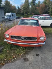 Rainbow Automotive