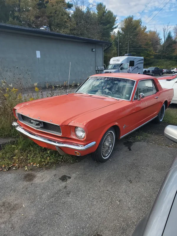Rainbow Automotive - photo 4