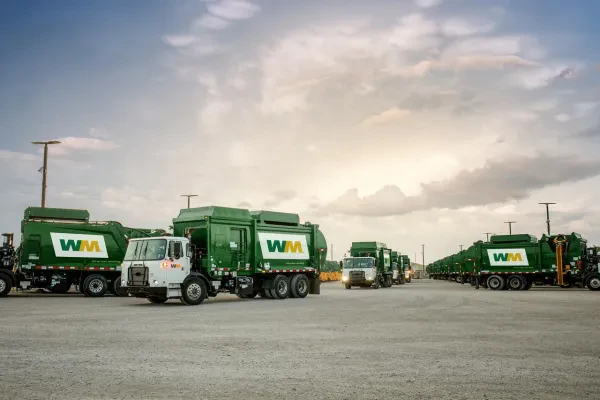 WM - Delta Recycling - Pompano South - photo 4