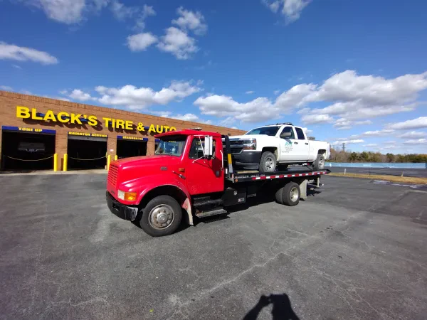Bloodhound Towing & Recovery LLC - photo 2