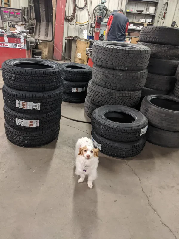 Pioneer Auto Center - photo 4