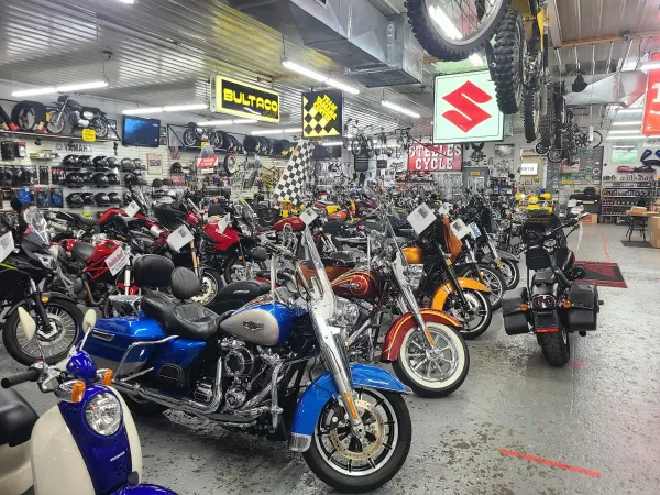 Steele's Cycle - photo 4