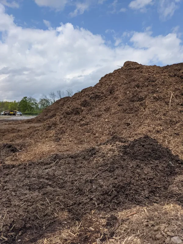 Wood Recycling Center for City of Chattanooga - photo 2