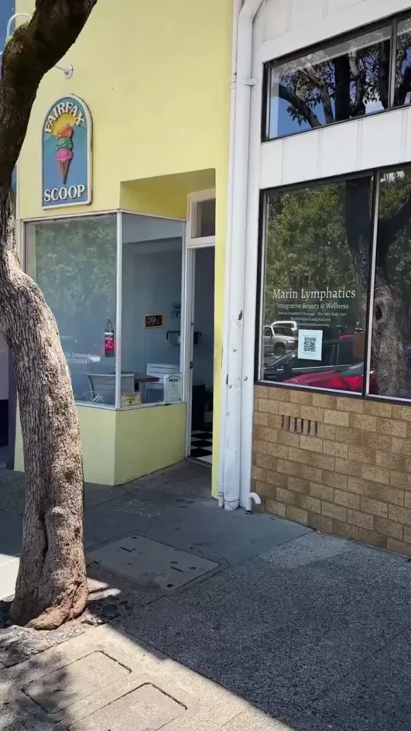 Marin Automotive - Auto Repair Shop in Fairfax, San Anselmo and Nicasio CA - photo 2