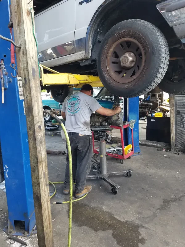 Hibiscus Wholesale Auto Parts Inc - photo 4