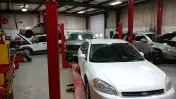 All In Automotive