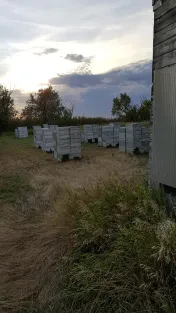 McGregor Kinder Morgan Yard