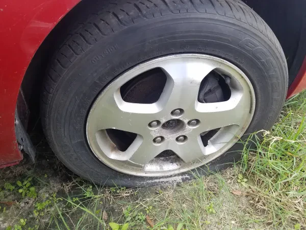 Robinsons Used Auto Parts - photo 2