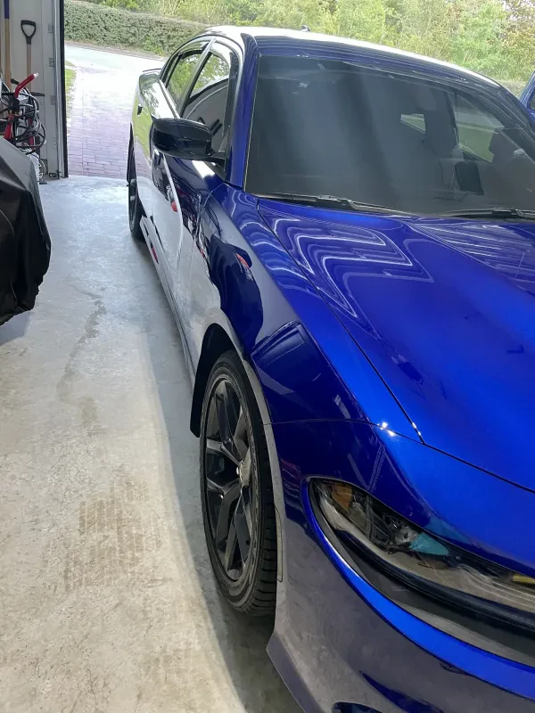 Tiger Point Paint & Body - photo 3