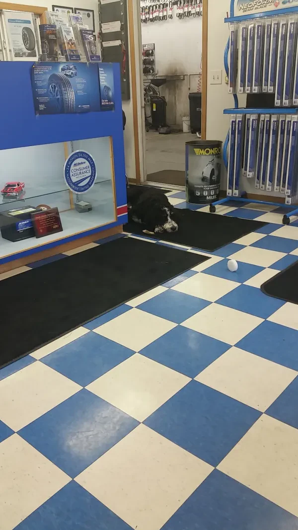 North Liberty Automotive, Inc. - photo 4