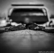 AMS Towing