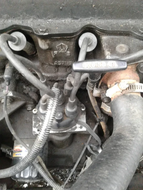 Carquest Auto Parts - THE AUTO HAUS INC - photo 2