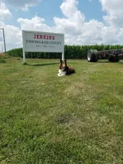 Jenkins Towing & Recovery