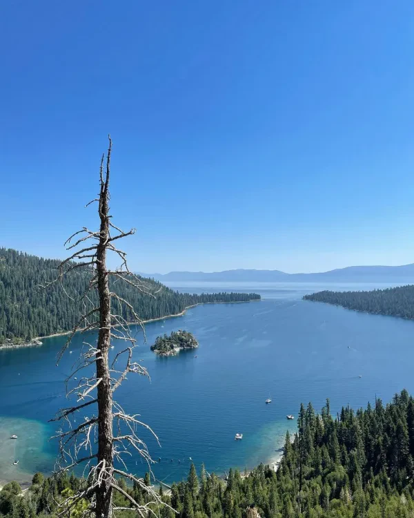 Lake Tahoe Towing - photo 2