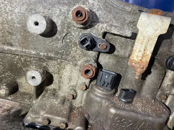 Beasley Foreign Parts - photo 3