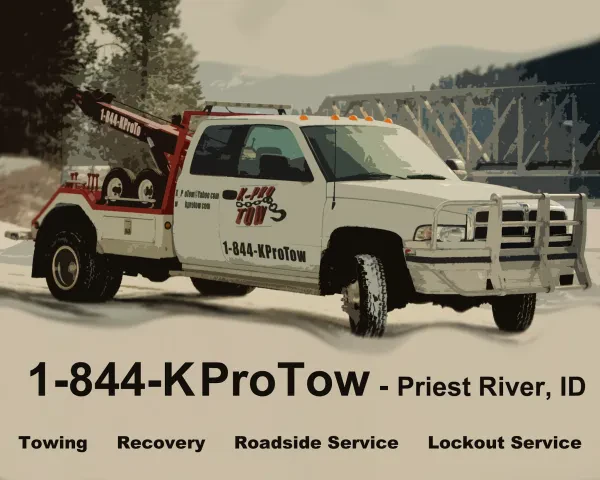 K PROTOW - photo 2