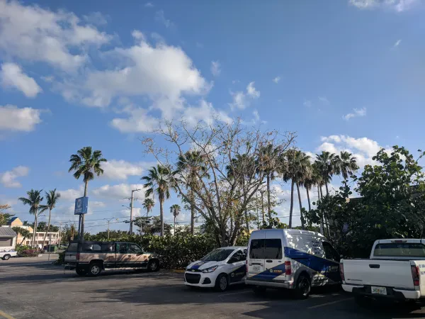 NAPA Auto Parts - Key's Auto Supply, Inc. - photo 4