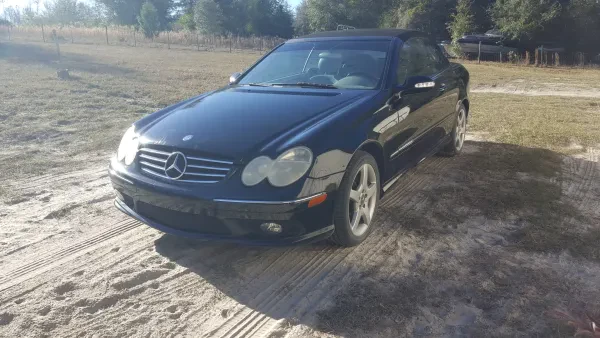 Steve Wheeler Automotive - photo 3