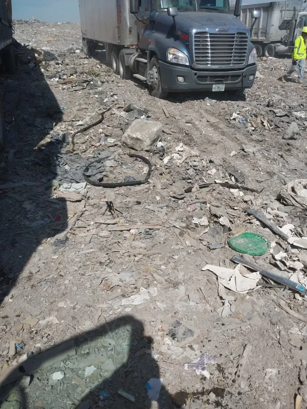 Desoto Recycling and Disposal (DRD) - photo 4