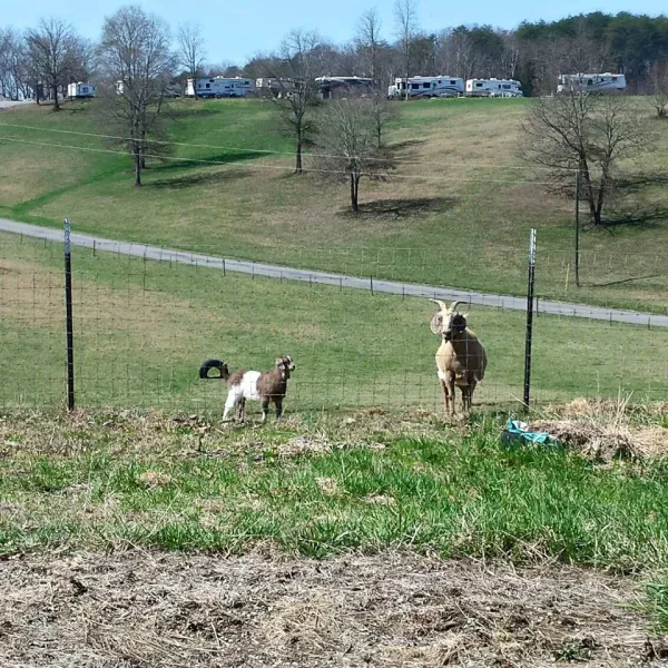 Lazy Acers RV Park - photo 2