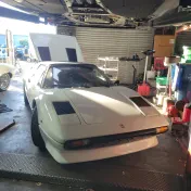 Thoroughbred Motors