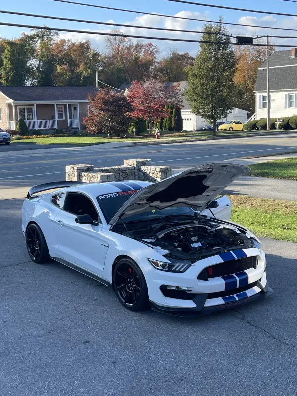 Grieco Ford of Raynham Parts Department - photo 4