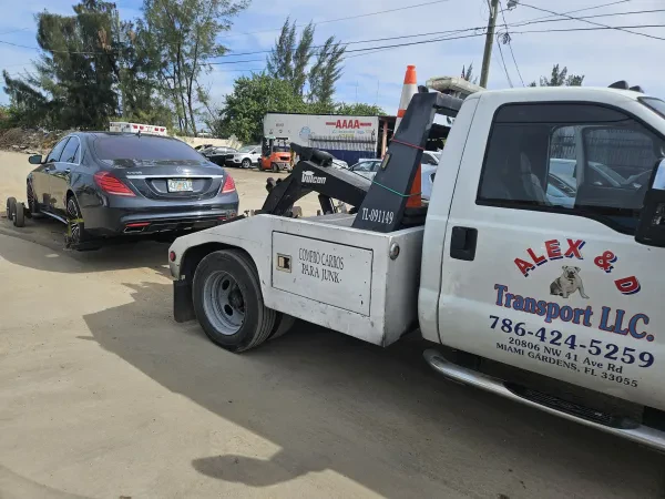 Alex & D Transport LLC - photo 3