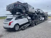Manheim Metro Detroit